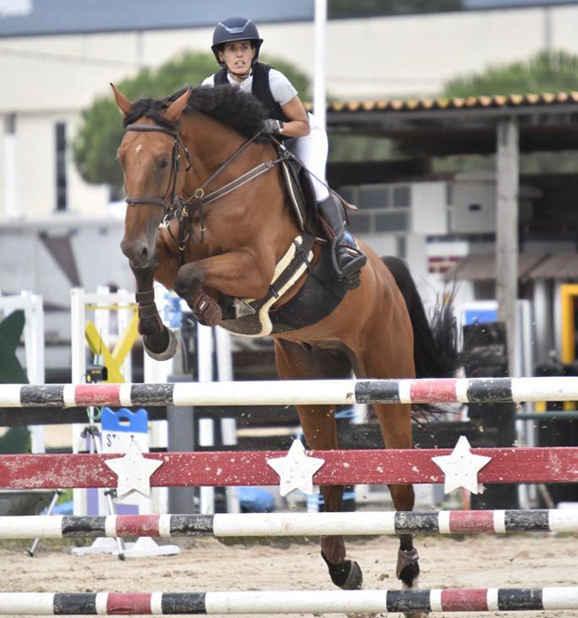 Doble presencia en el Campeonato de Espa&ntilde;a de Salto en el que un potro navarro subi&oacute; a lo m&aacute;s alto del caj&oacute;n